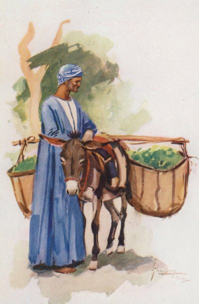People of Egypt: Vegetable-Seller, Khodari by Lance Thackeray