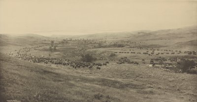 Throwing Rangers to the Roundup by Laton Alton Huffman
