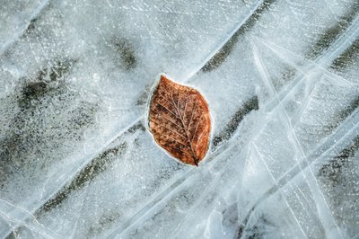 Before the Thaw by Lee Cooper