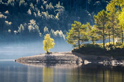 Druid’s Rest, 2024 by Lee Cooper