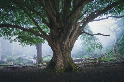 The Light That Waits by Lee Cooper
