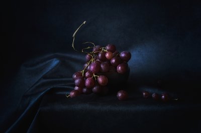 Rich Purple Grapes by Lenka