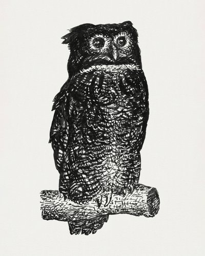Owl by Leo Gestel