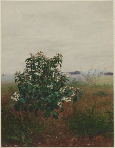 Flowering Laurustinus in front of a Landscape by Léon Bonvin