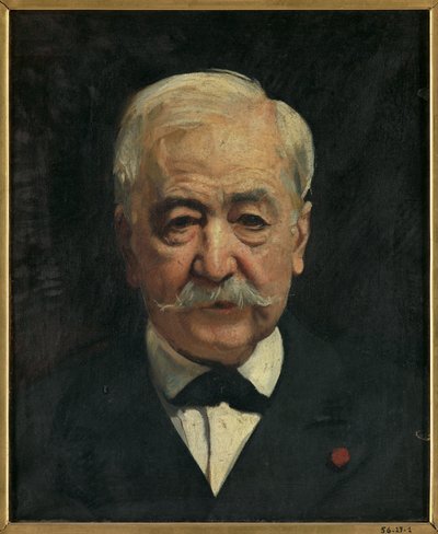 Portrait of Ferdinand de Lesseps by Leon Joseph Florentin Bonnat