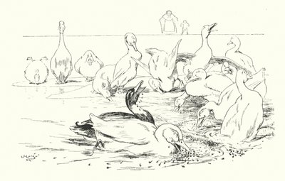 Dame, What Makes Your Ducks to Die by Leonard Leslie Brooke