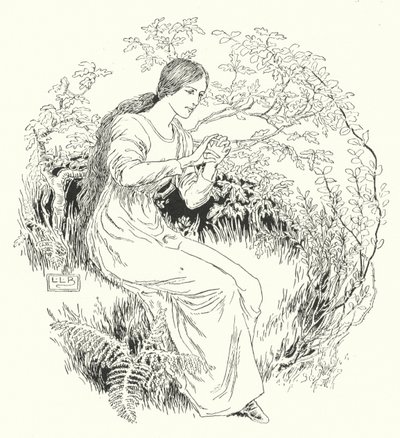 I Went to the Wood and Got It by Leonard Leslie Brooke
