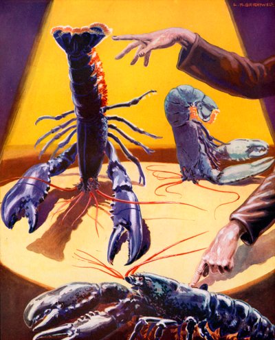 Hypnotized Lobsters by Leonard Robert Brightwell