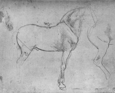 A Horse in Profile to the Right and its Hind-Quarters, c1480, 1945 by Leonardo da Vinci
