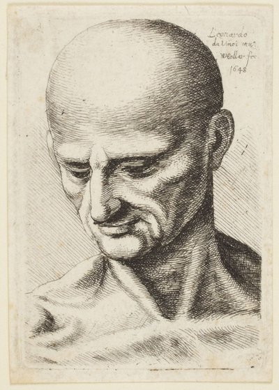 Bald-headed Man by Leonardo da Vinci