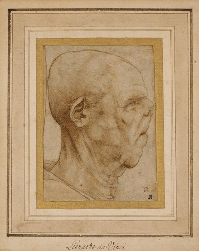 Caricature of the Head of an Old Man, in Profile to the Right, c.1507 by Leonardo da Vinci