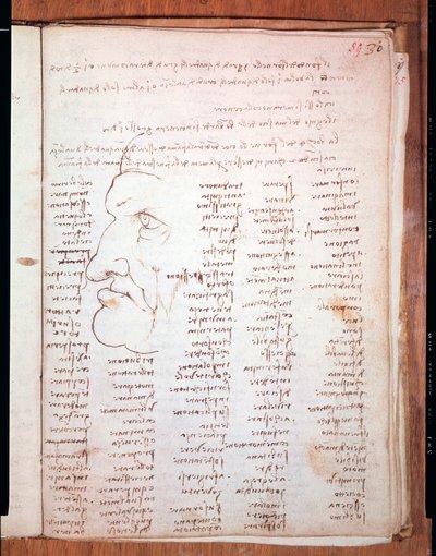 Codex Trivulziano by Leonardo da Vinci - Trivulziana Library, Milan by Leonardo da Vinci