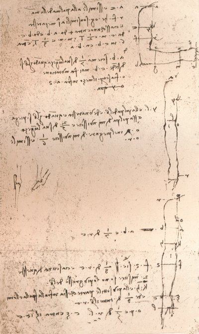 Drawing Illustrating the Theory of the Proportions of the Human Figure by Leonardo da Vinci