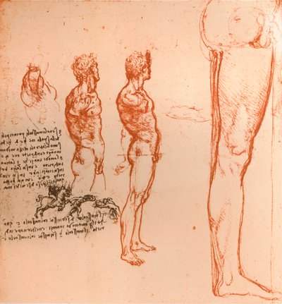 Drawings Showing the Movements of the Human Figure and Warriors Fighting by Leonardo da Vinci