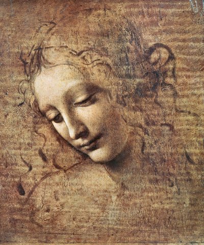 Head of a Young Woman with Tousled Hair or, Leda by Leonardo da Vinci