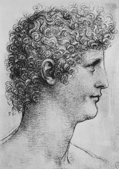 Head of a Youth in Profile to the Right by Leonardo da Vinci