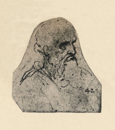 Head of an Old Man Turned to the Right by Leonardo da Vinci