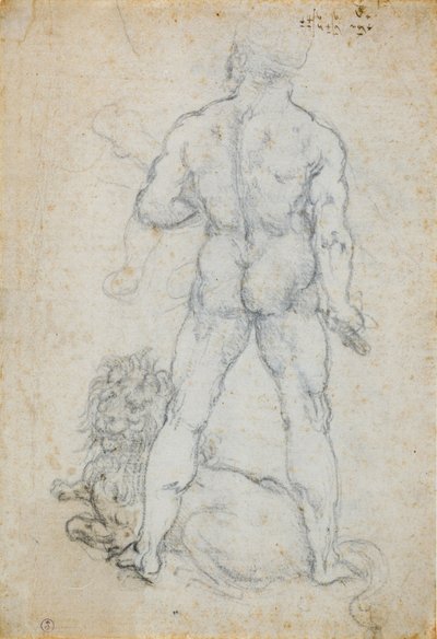 Hercules and the Nemean lion, c. 1506-08 by Leonardo da Vinci