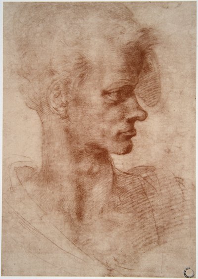 Caricature portrait of a young man by Leonardo da Vinci