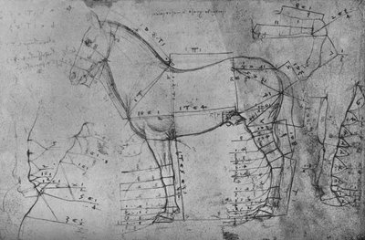 Measured Drawing of a Horse in Profile to the Left, c1480 by Leonardo da Vinci