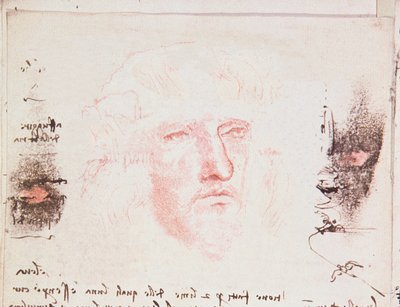 Notes on the Changes of Direction in Flight, Manuscript Page from Codici Rari III 35.2, fol. 10v from Treatise on the Flight of Birds, 1505 by Leonardo da Vinci