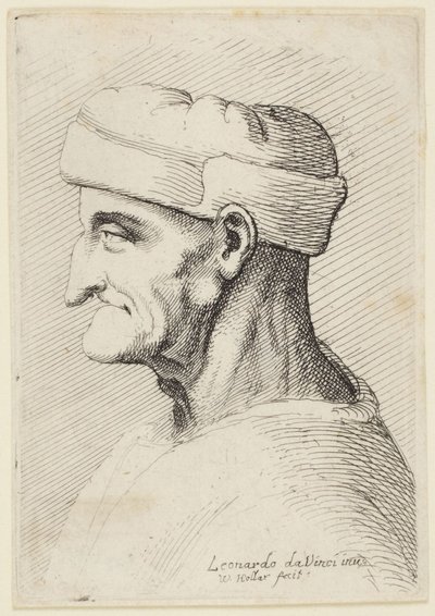 Old Man in Cap by Leonardo da Vinci