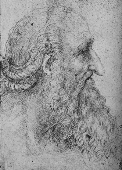 Profile of an Old, Bearded Man to the Right by Leonardo da Vinci