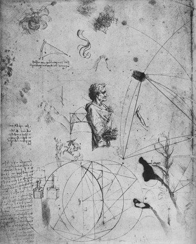 Profile of an Old Man, Plants, Geometrical Figures, Etc. by Leonardo da Vinci