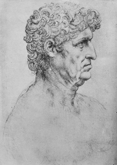 Profile to the Right of an Elderly Man, c1480 by Leonardo da Vinci