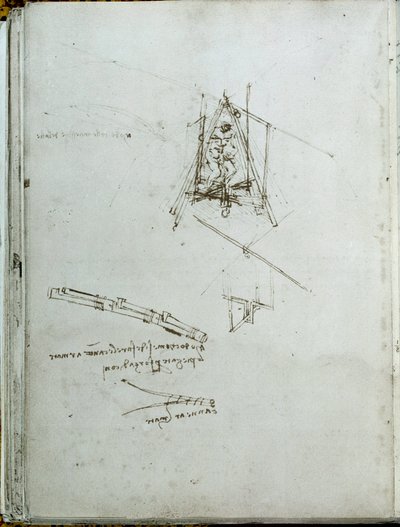 Manuscript on Flying Machines (Book of Leonardo da Vinci) by Leonardo da Vinci