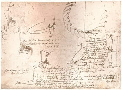 Sketches illustrating the theory of the proportions of the human figure, c1472-c1519 by Leonardo da Vinci