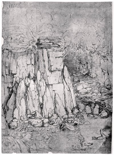 Study of a rocky cavern with ducks by Leonardo da Vinci