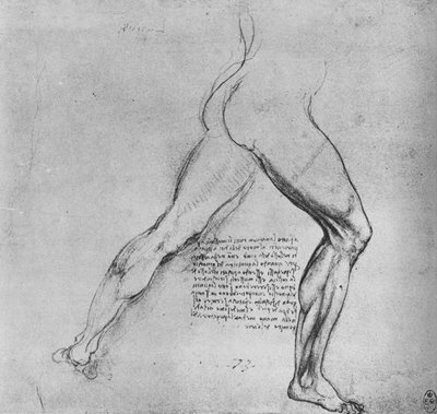 Study of the Legs of a Man Lunging to the Right, c1480 by Leonardo da Vinci