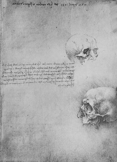Two Drawings of the Bony Structure of the Head by Leonardo da Vinci