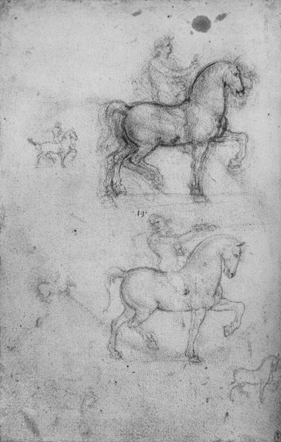 Two Studies of Horses and Riders and Smaller Studies of Horses by Leonardo da Vinci