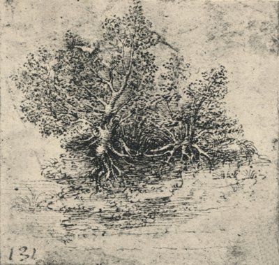 Two Trees on the Bank of a Stream, c1480 by Leonardo da Vinci