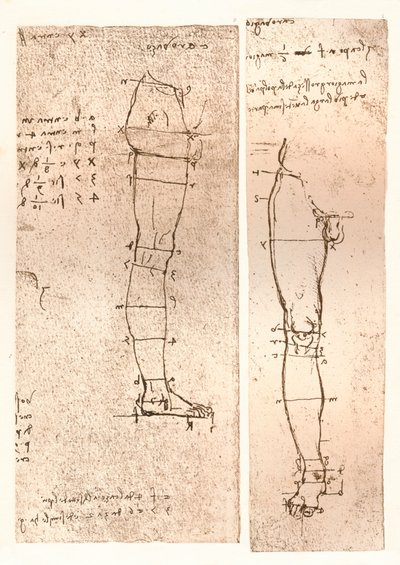 Two Drawings Illustrating the Theory of the Proportions of the Human Figure by Leonardo da Vinci