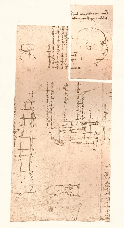 Two Drawings Illustrating the Theory of the Proportions of the Human Figure by Leonardo da Vinci