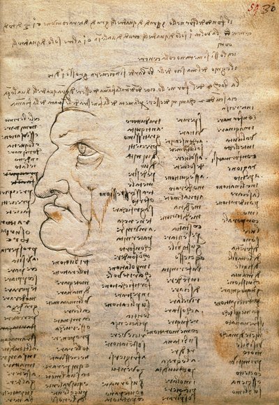 Word list and male profile, from Codex Trivulzianus by Leonardo da Vinci