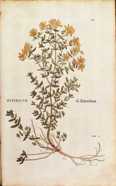 St John