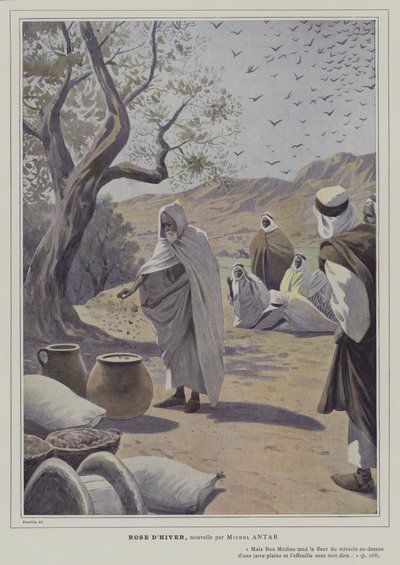 Illustration from Rose d