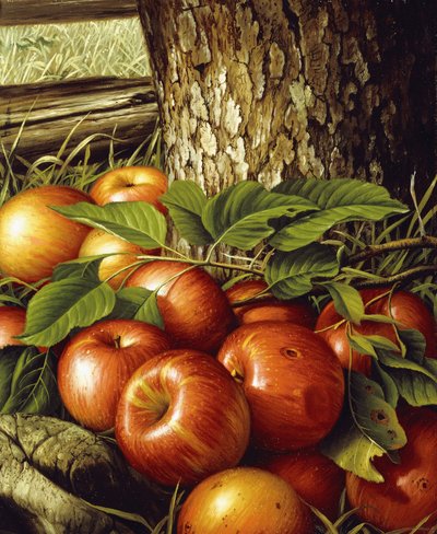 Apples and Tree Trunk by Levi Wells Prentice