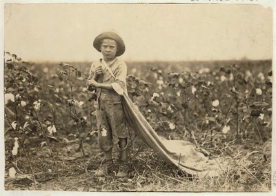 6-year old Warren Frakes with about 20 pounds of cotton in his bag at Comanche County, Oklahoma, 1916 by Lewis Wickes Hine