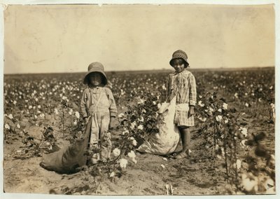 Jewel and Harold Walker, 6 and 5 years old, pick 20 to 25 pounds of cotton a day at Geronimo, Comanche County Oklahoma, 1916 by Lewis Wickes Hine