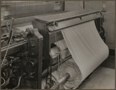 Quilling - A Close Up of the "Quills" by Lewis Wickes Hine