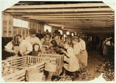 Rosy Aged 8 Works a 14 Hour Day as an Oyster Shucker at Dunbar Cannery, Louisiana, 1911 by Lewis Wickes Hine