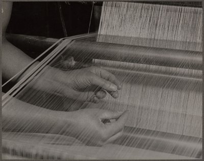 Untitled by Lewis Wickes Hine