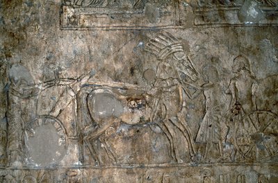 Bas relief with wagon, Necropolis of Tell el-Amarna, Egypt, Egyptian civilization, New Kingdom, Dynasty XVIII by Unbekannt Unbekannt