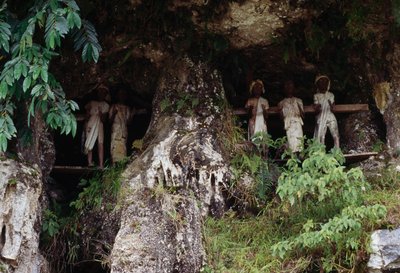 Funeral Niches with Tau Tau Mortuary Figures, Marrante Village, Tana Toraja, Sulawesi Island, Indonesia by Unbekannt Unbekannt