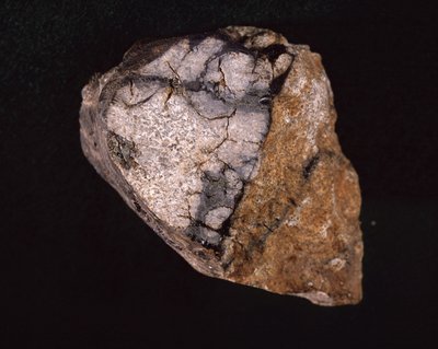 Meteorite found in India in 1875 - Museum of Natural History, Paris by Unbekannt Unbekannt